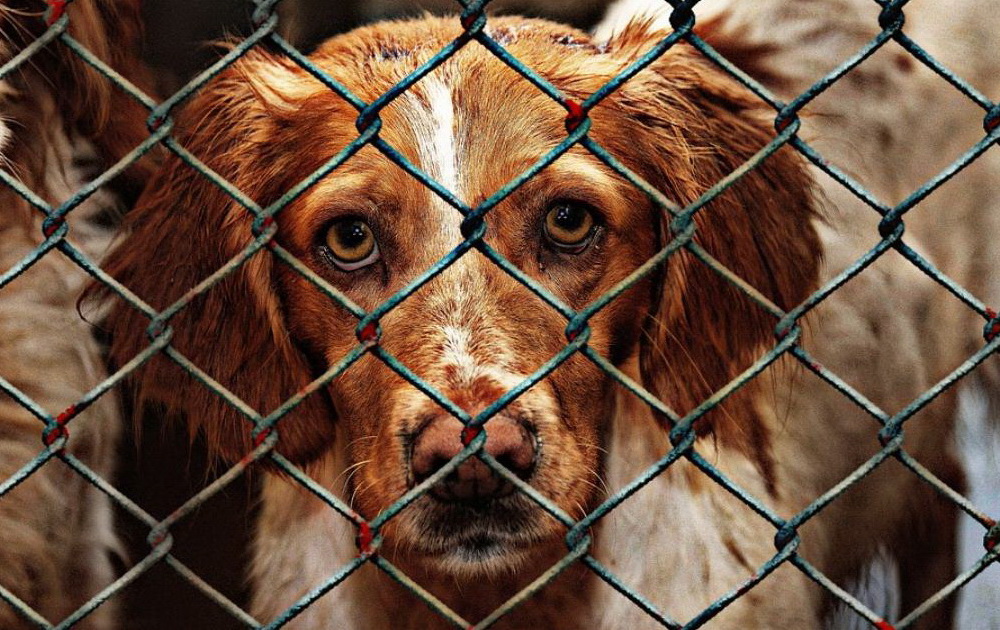 благотворительность