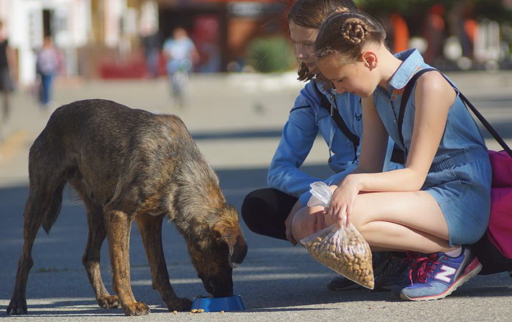 благотворительность