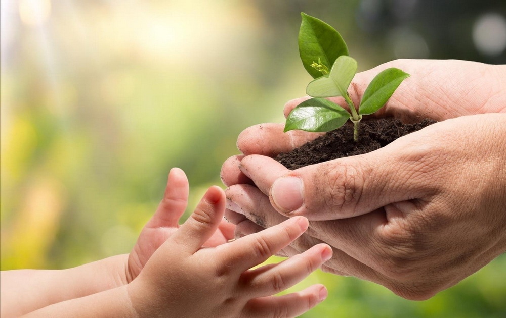 благотворительность